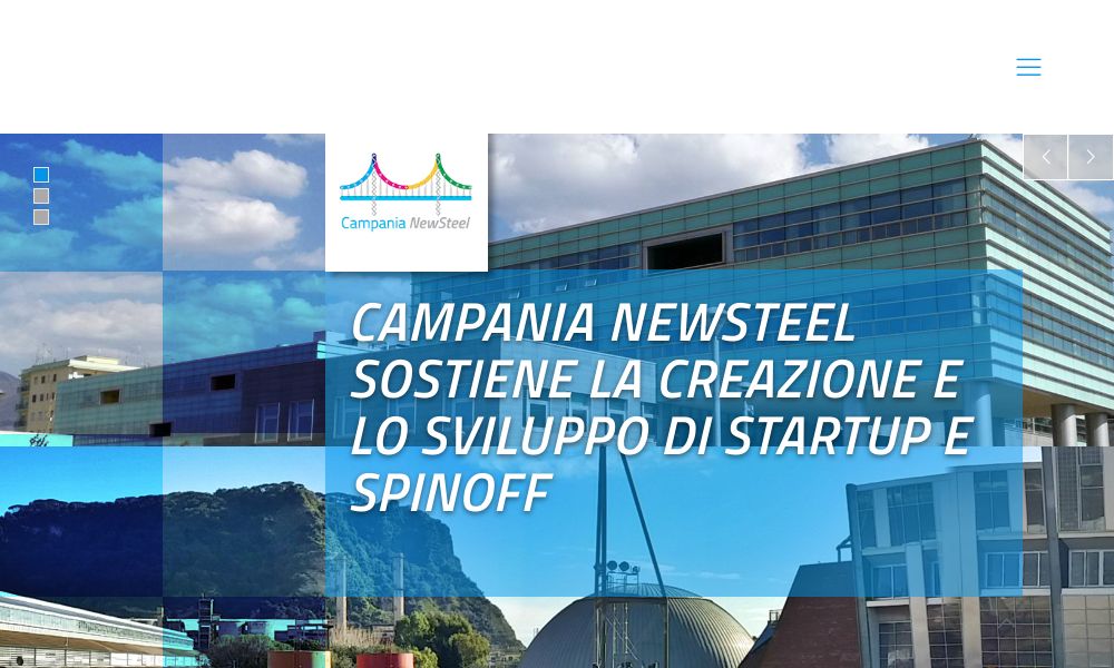 CAMPANIA NEWSTEEL IN LIQUIDAZIONE - Startupeasy