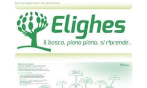 ELIGHES - Startupeasy