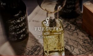 FUEGUIA - Startupeasy