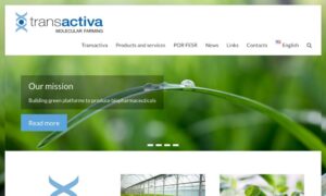 TRANSACTIVA - Startupeasy